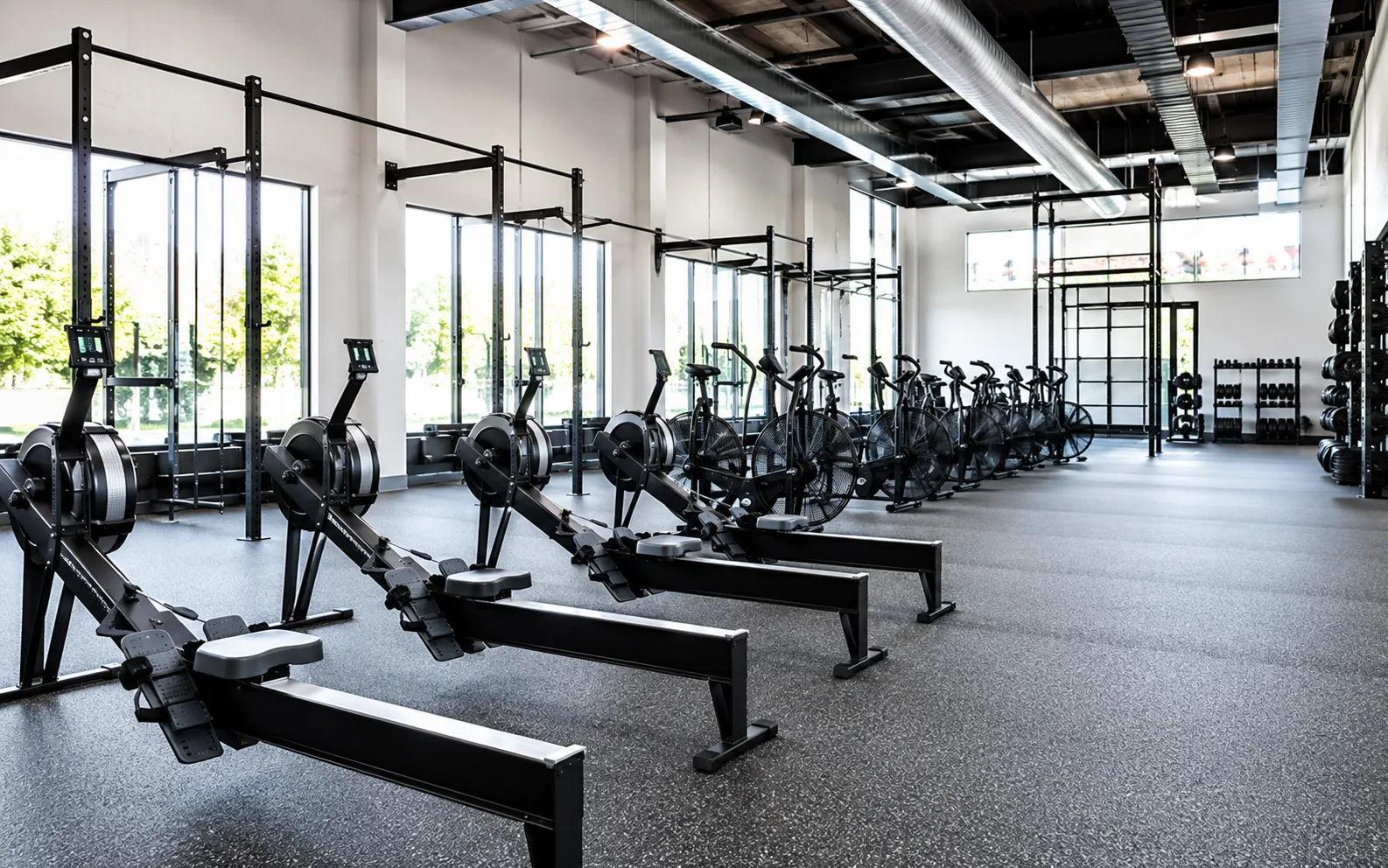 A row of rowing machines and air bikes lined up along the studio's window wall